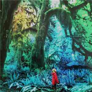 Jacco Gardner - Cabinet Of Curiosities