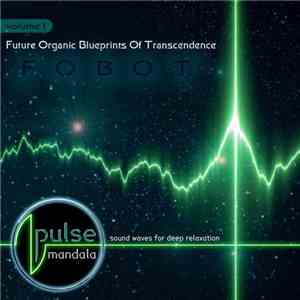 Pulse Mandala - Future Organic Blueprints Of Transcendence