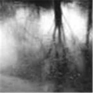 Jasper Leyland - Capsize