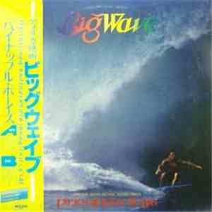 Pineapple Boys - Big Wave