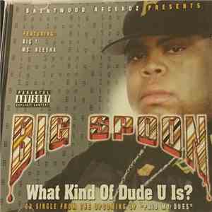 Big Spoon - What Kind Of Dude U Is?