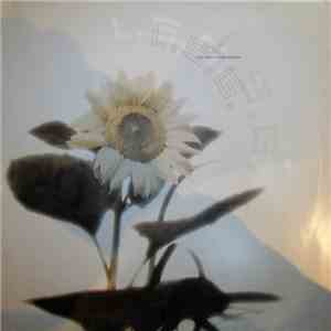 L.S.G. - Fontana / Venus (Remixes)