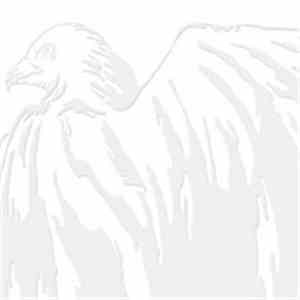 Sarah Fimm - White Birds