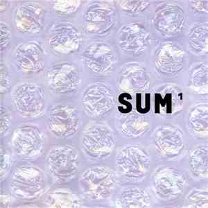Sum - 1