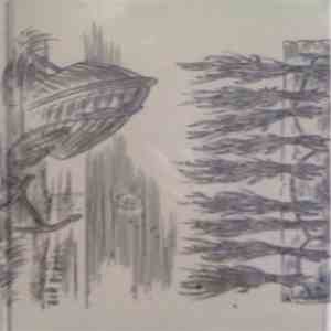 Sean McCann  / Black Eagle Child - New Molluska