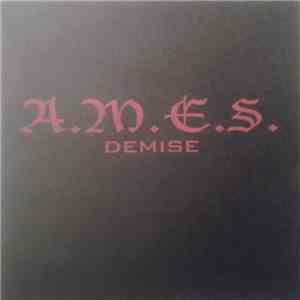 A.M.E.S. - Demise
