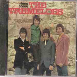 The Tremeloes - Here Come The Tremeloes
