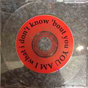 You Am I - What I Don't Know 'Bout You