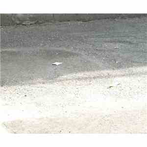i-fls - Early Recordings