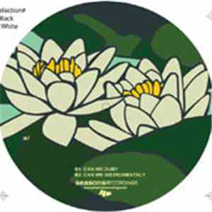 Lance DeSardi - Can We?