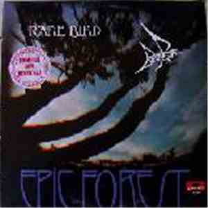 Rare Bird - Epic Forest