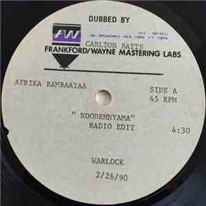Afrika Bambaataa - Ndodemnyama