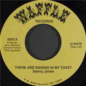 Danny Jones  / Jerry B And The Waffle House Vaudeville Band - There Are Rai ...