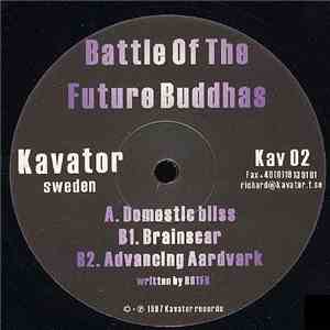 Battle Of The Future Buddhas - Domestic Bliss / Brainscar / Advancing Aardv ...