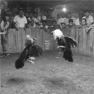 Black Pistol Fire - Don't Wake the Riot