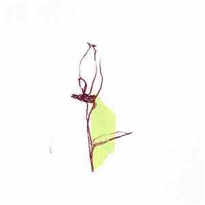 The Humble Bee - Deathless Songs