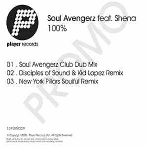 Soul Avengerz - 100%