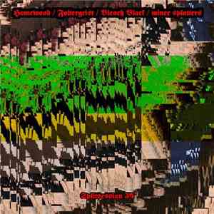 Homewood / Foltergeist / Bleach Black / Mince Splatters - Splitsession 34