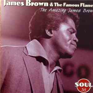 James Brown & The Famous Flames - The Amazing James Brown