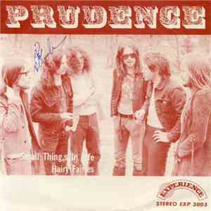 Prudence  - Small Things In Life / Hairy Fairies