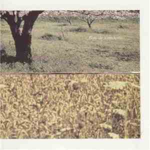 Michel Doneda / Giuseppe Ielasi / Ingar Zach - Flore De Cataclysmo
