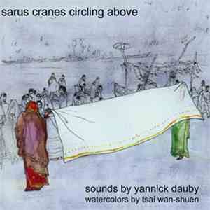 Yannick Dauby - Sarus Cranes Circling Above