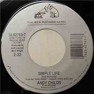 Andy Childs - Simple Life