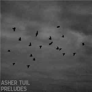 Asher Tuil - Preludes