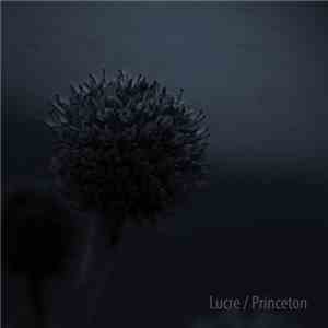Lucre - Princeton