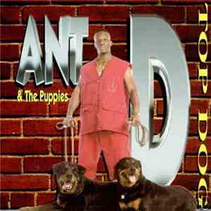 Ant 