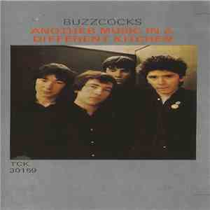 Buzzcocks - Another Music In A Different Kitchen
