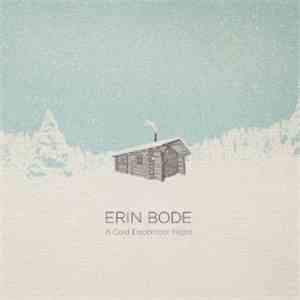 Erin Bode -  A Cold December Night