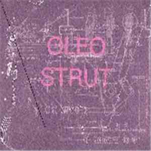 Oleo Strut - Oleo Strut