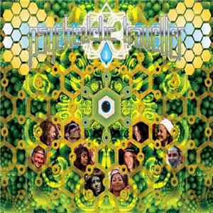 Various - Psychedelic Traveller Vol. I