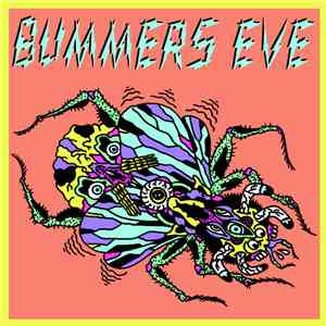 Bummers Eve - Fly On The Wall