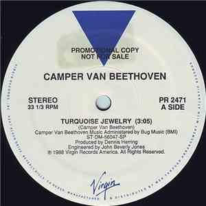 Camper Van Beethoven - Turquoise Jewelry
