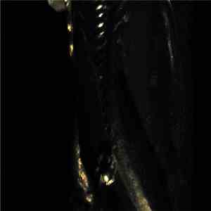 Christopher McFall - Sensuality May Be Found At The Mouth Of A Snake