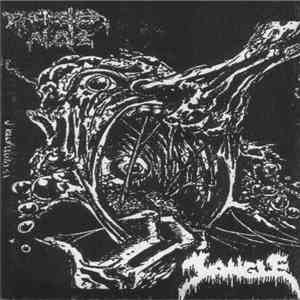 Excreted Alive / Jangle - Excreted Alive / Jangle