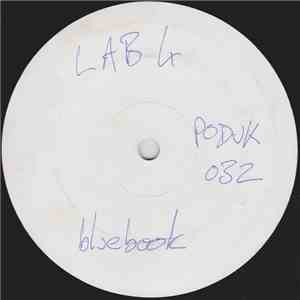 Lab 4 - Bluebook