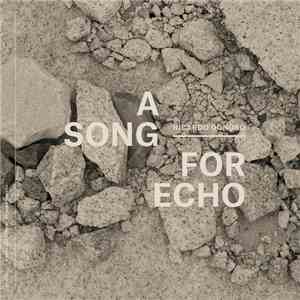 Ricardo Donoso - A Song For Echo