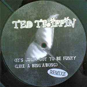 Ted Trippin - (It's Just) Got To Be Funky (Like A Bing 'A' Bong) (Remixe)
