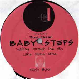 Theo Parrish - Baby Steps