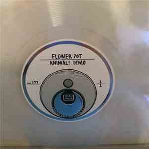 Margot & The Nuclear So And So's - Flower Pot