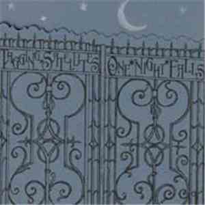 Tagging Satellites - One Night Falls