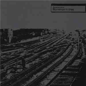 Squarepusher - Burningn'n Tree