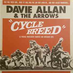 Davie Allan & The Arrows - Cycle Breed