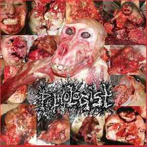 Pathologist - Anatomically! Autopsically! Decompositionally! Eschatological ...