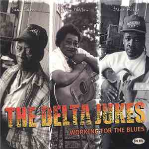 The Delta Jukes With Sam Carr , John Weston , Dave Riley  - Working For The ...