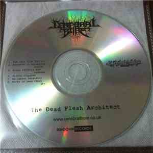 Cerebral Bore - The Dead Flesh Architect