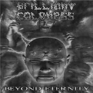 Brilliant Coldness - Beyond Eternity